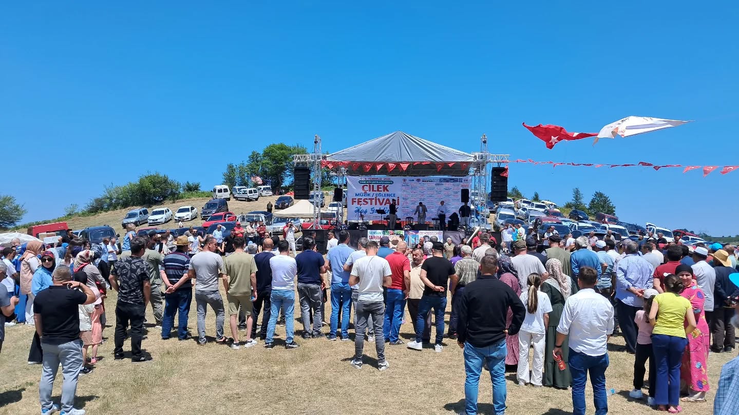 CANİK GÖKÇEPINAR ÇİLEK FESTİVALİ